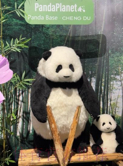 《熊猫说球》第二十一集：假摔